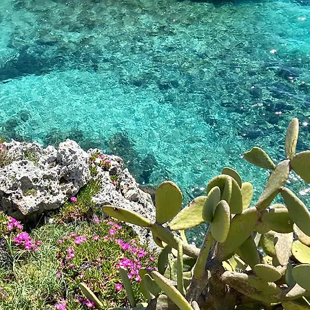 Alchimia Di Mare Дом отдыха Castro (Lecce)