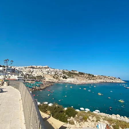 Alchimia Di Mare *